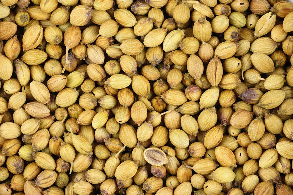 High-resolution whole coriander seeds, accurately representing Spice Czar Whole Coriander Seeds. Photo by Sanjay Acharya via Wikimedia Commons, CC BY-SA 4.0.