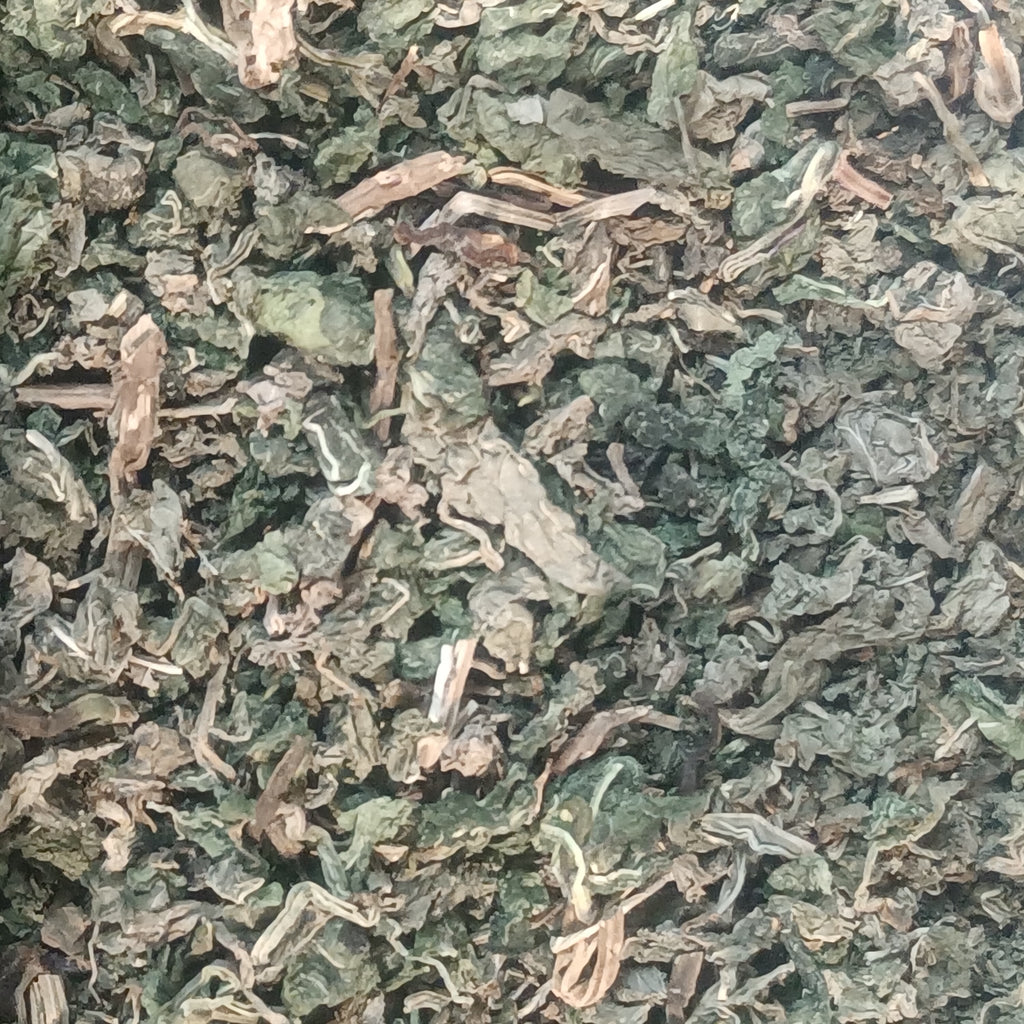 High-resolution dried mint leaves, accurately representing Spice Czar Dried Mint. CC0 image via Wikimedia Commons.