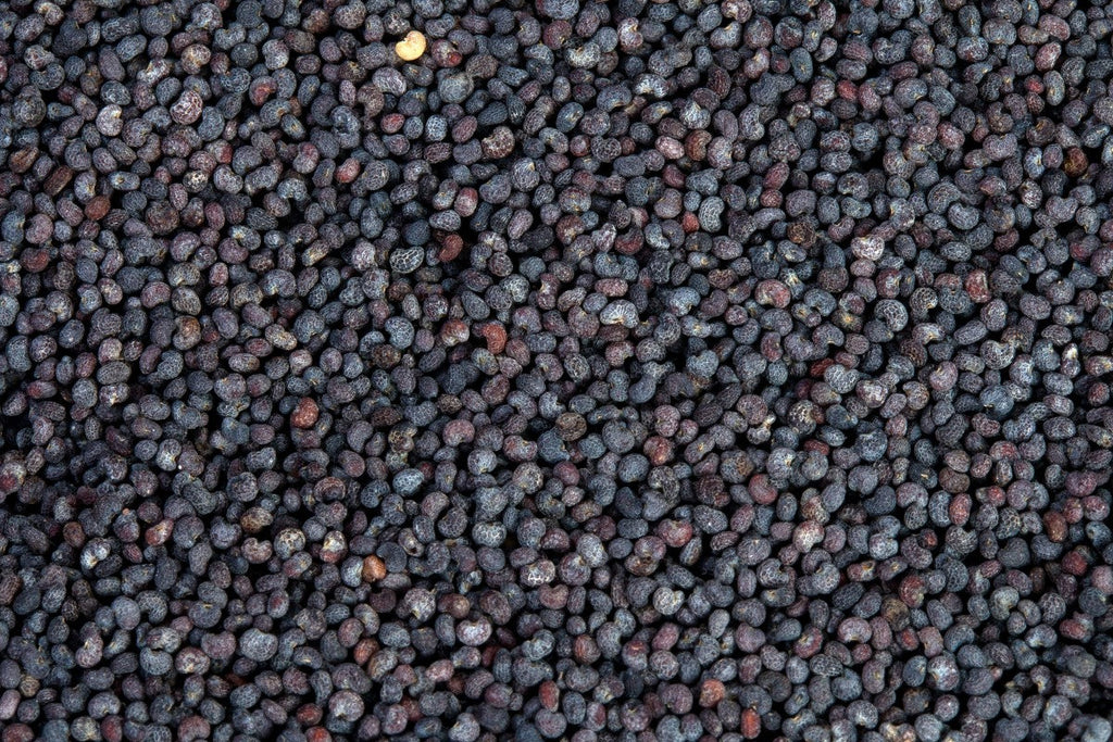 High-resolution macro of blue poppy seeds, accurately representing Spice Czar Blue Poppy Seeds. CC0 public-domain image via PxHere.