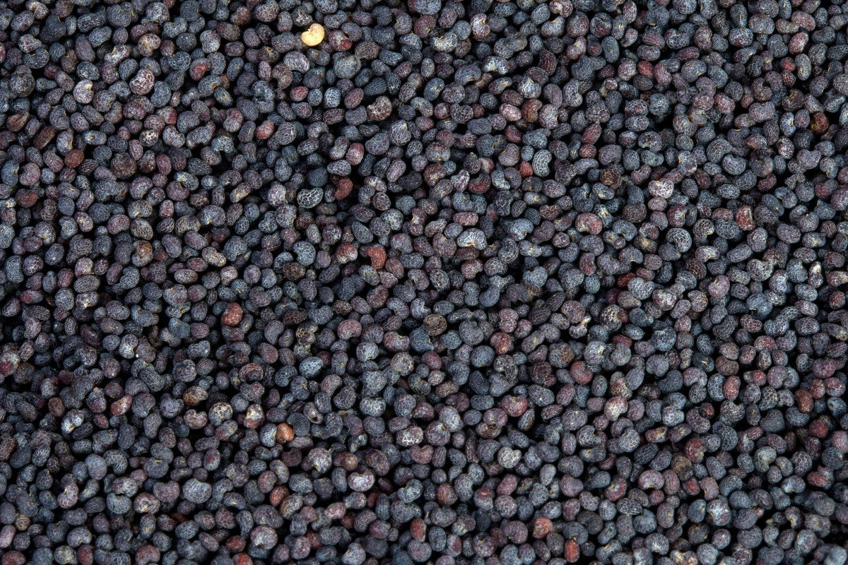 High-resolution macro of blue poppy seeds, accurately representing Spice Czar Blue Poppy Seeds. CC0 public-domain image via PxHere.
