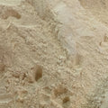 High-resolution ground ginger powder, accurately representing Spice Czar Ground Ginger. Wikimedia Commons image.