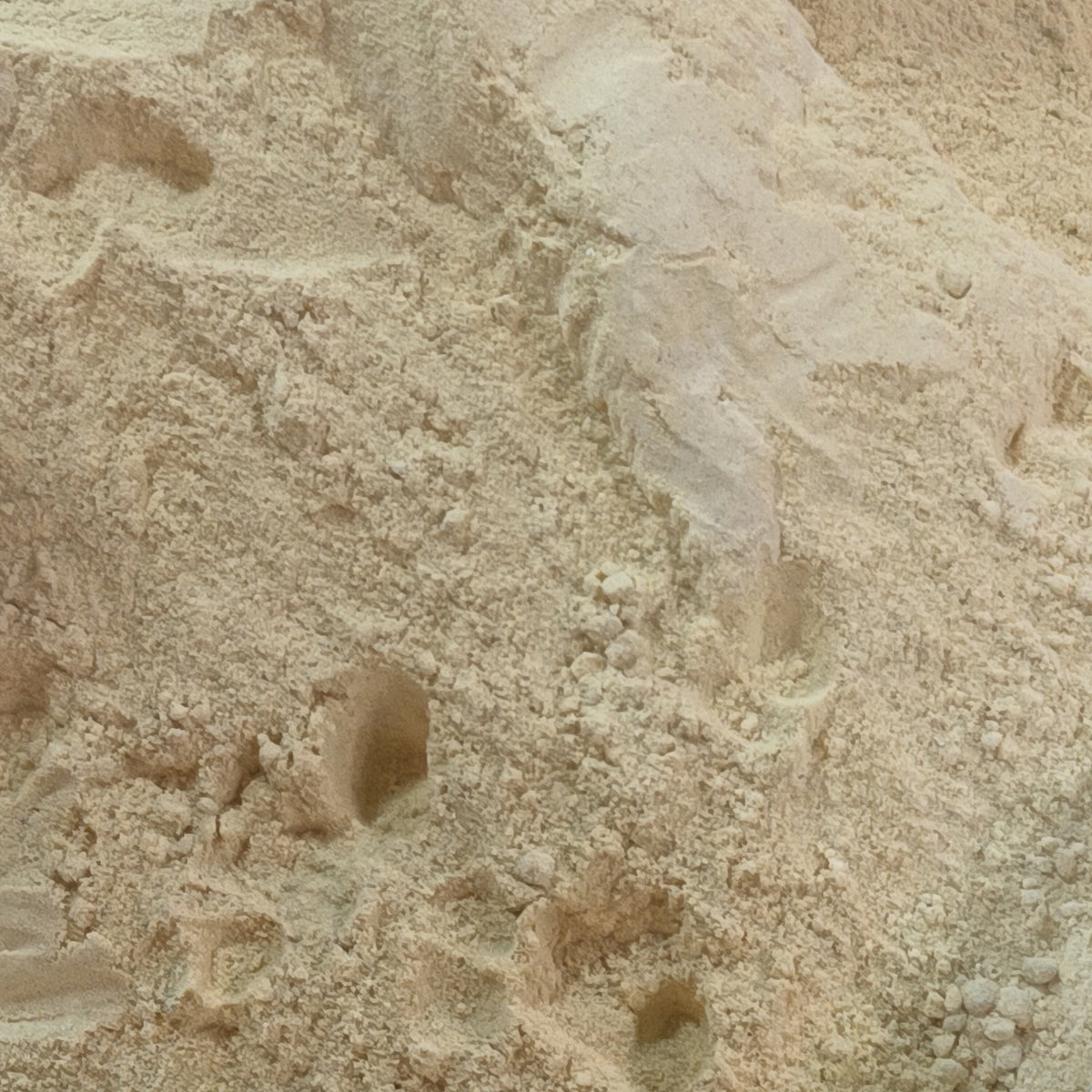 High-resolution ground ginger powder, accurately representing Spice Czar Ground Ginger. Wikimedia Commons image.