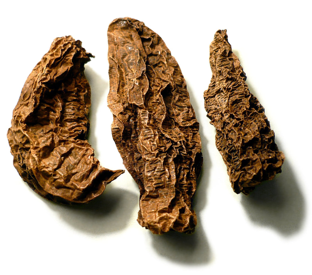 Dried chipotle chile peppers showing the smoky brown-red chile character of Spice Czar Honey Chipotle Rub. Photo by Badagnani via Wikimedia Commons, CC BY 3.0.