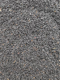 High-resolution Nigella sativa seeds, accurately representing Spice Czar Nigella Seeds. Photo by Gaurav Dhwaj Khadka via Wikimedia Commons, CC BY-SA 4.0.