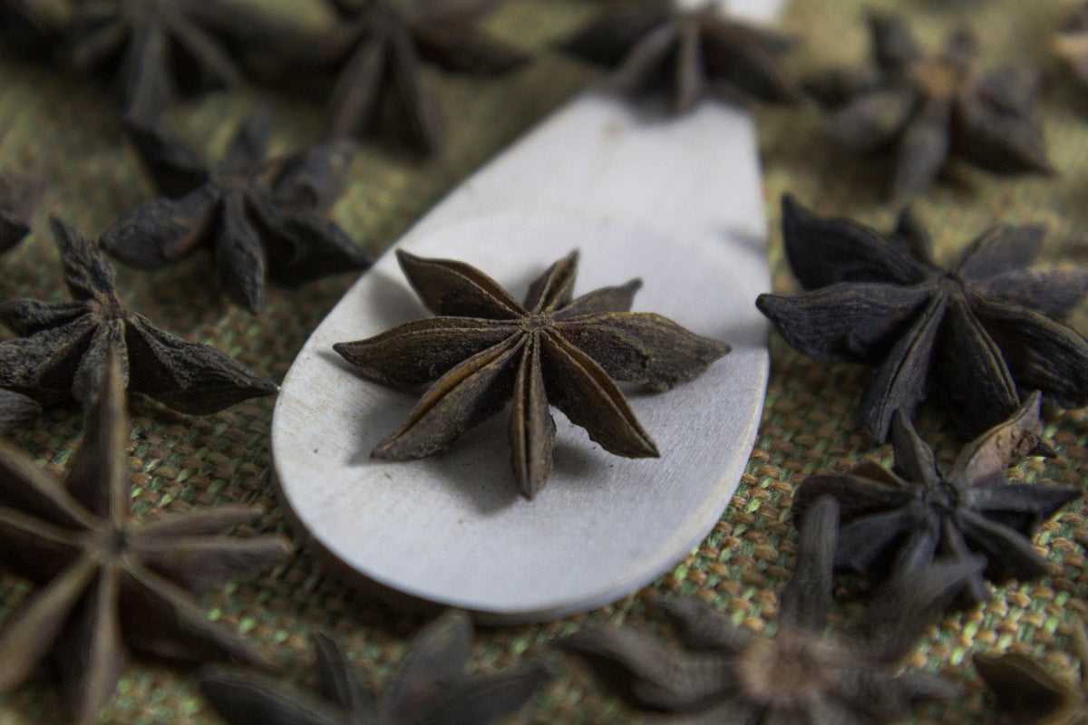 Whole star anise spice, accurately representing Spice Czar Star Anise Pieces. Photo by Herusutimbul via Wikimedia Commons, CC BY-SA 4.0.